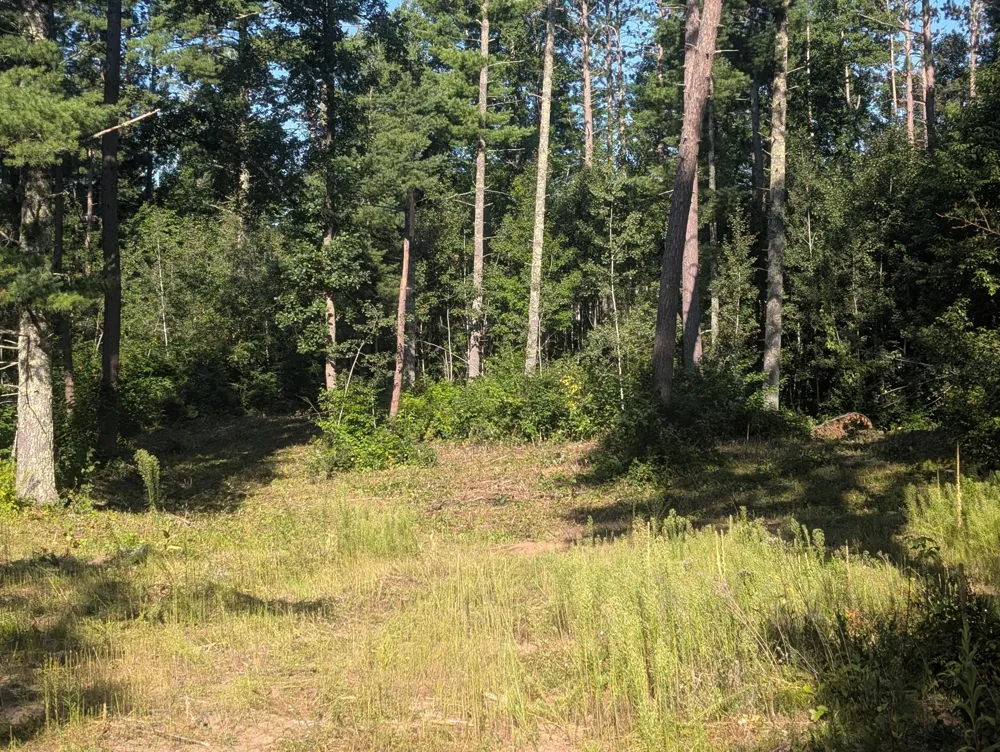 3380 W Highway 63 Springbrook, WI 54875