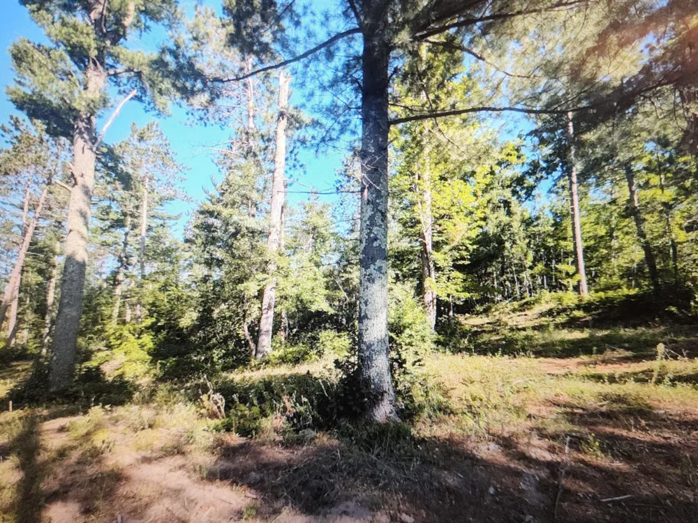 3380 W Highway 63 Springbrook, WI 54875