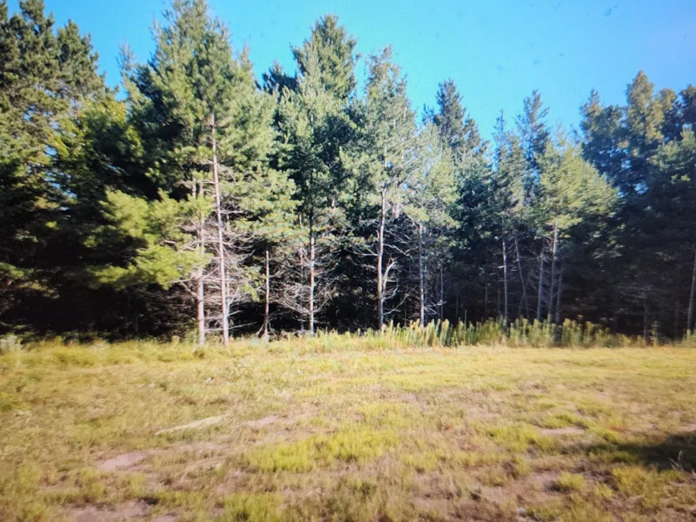 3380 W Highway 63 Springbrook, WI 54875