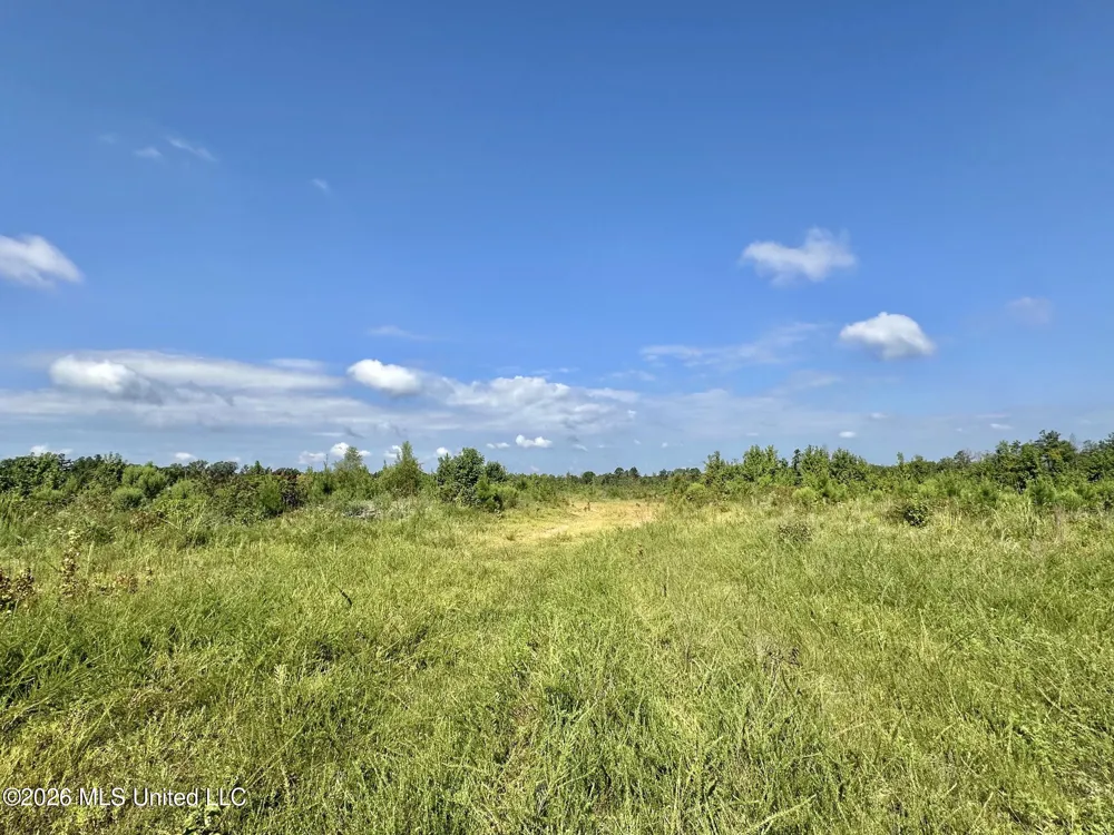5 Will Womack Mantee, MS 39751