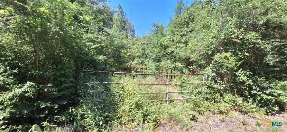 Red Maple Road Big Sandy, TX 75755