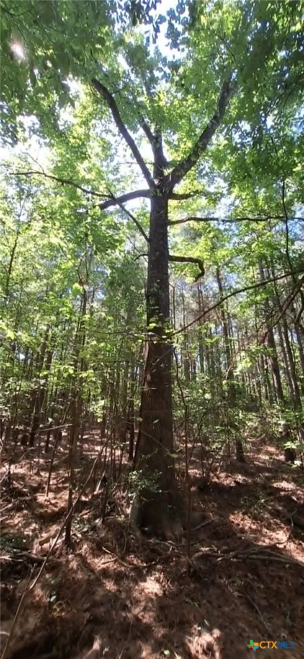 Red Maple Road Big Sandy, TX 75755