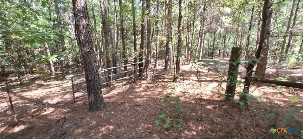 Red Maple Road Big Sandy, TX 75755