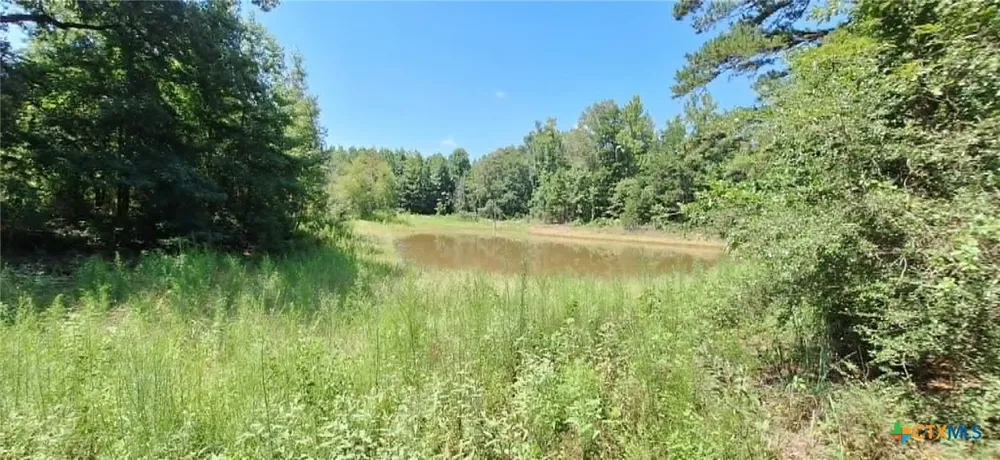 Red Maple Road Big Sandy, TX 75755