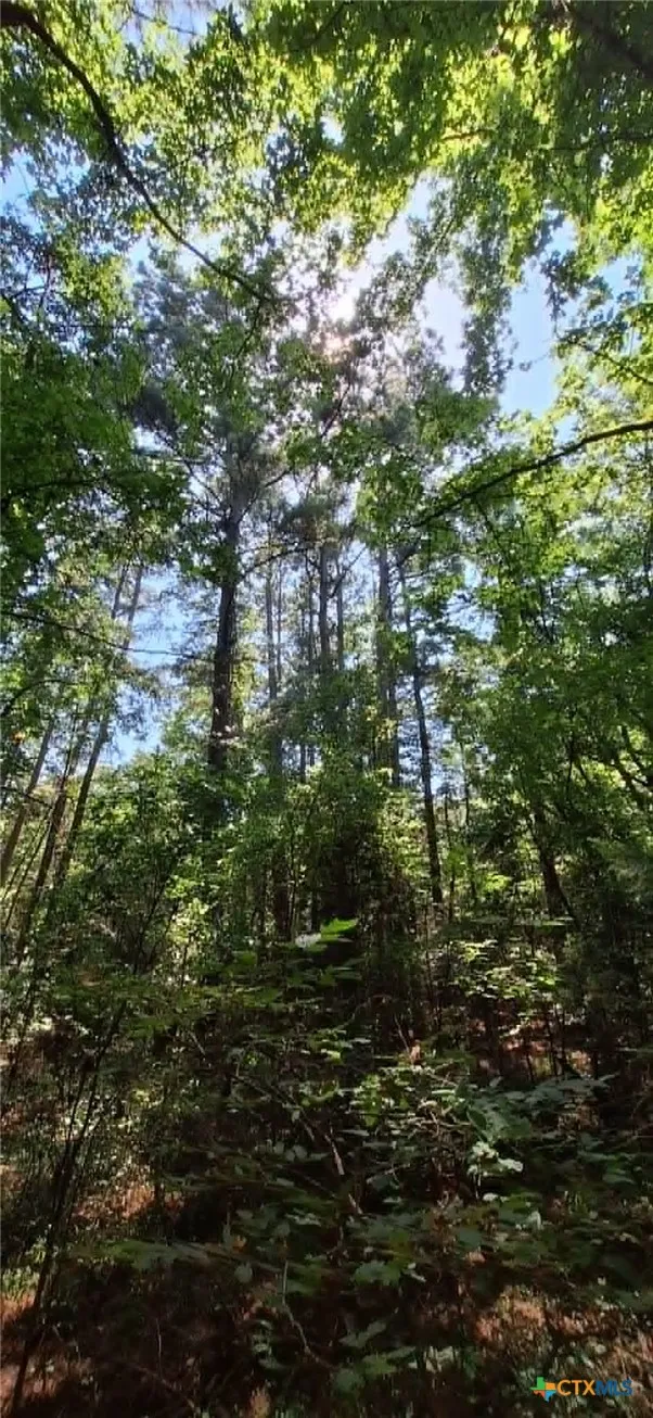 Red Maple Road Big Sandy, TX 75755