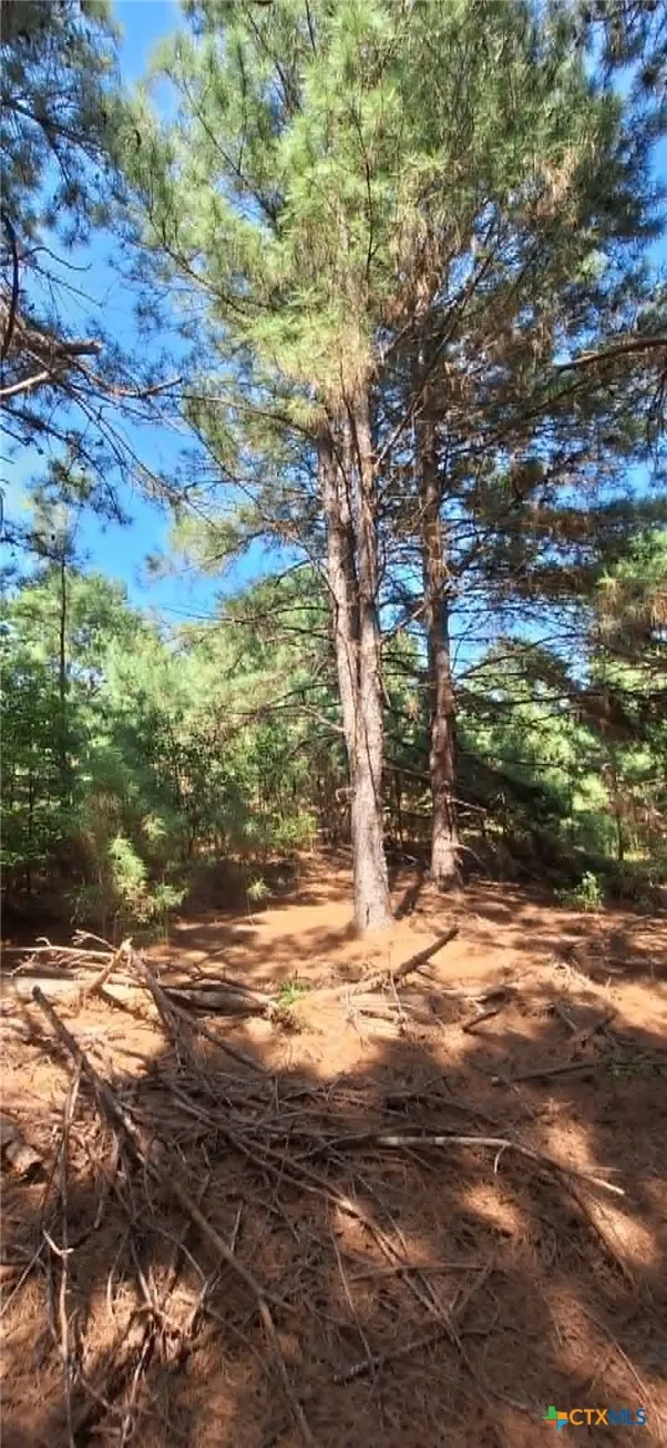 Red Maple Road Big Sandy, TX 75755