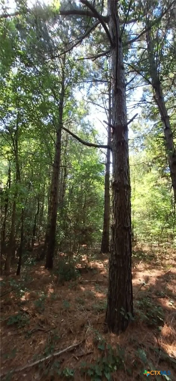 Red Maple Road Big Sandy, TX 75755
