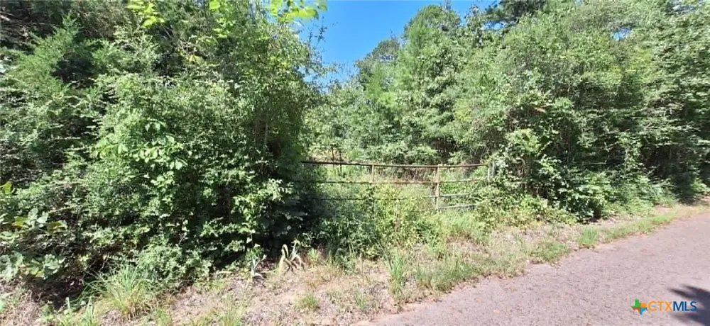 Red Maple Road Big Sandy, TX 75755