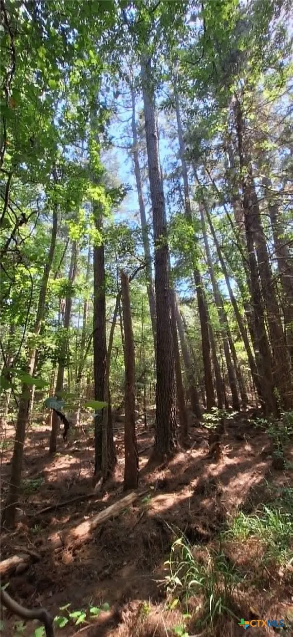 Red Maple Road Big Sandy, TX 75755