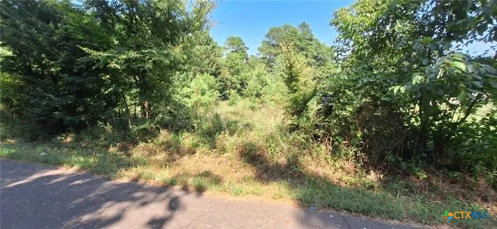 Red Maple Road Big Sandy, TX 75755