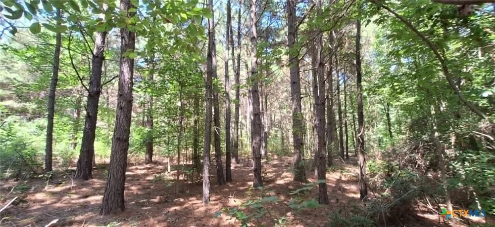 Red Maple Road Big Sandy, TX 75755