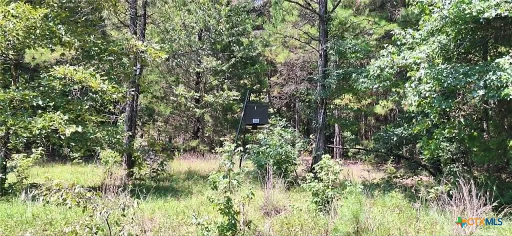 Red Maple Road Big Sandy, TX 75755