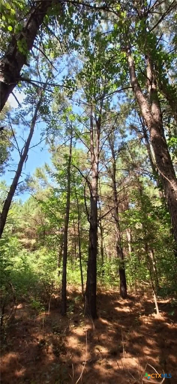 Red Maple Road Big Sandy, TX 75755