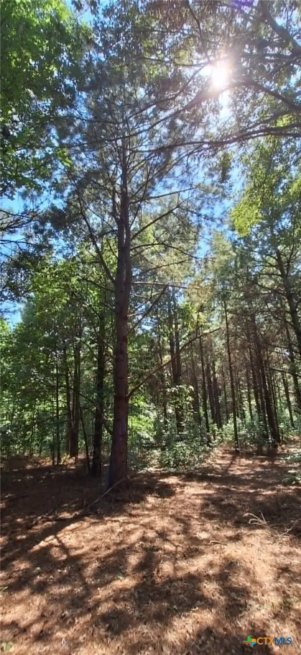 Red Maple Road Big Sandy, TX 75755