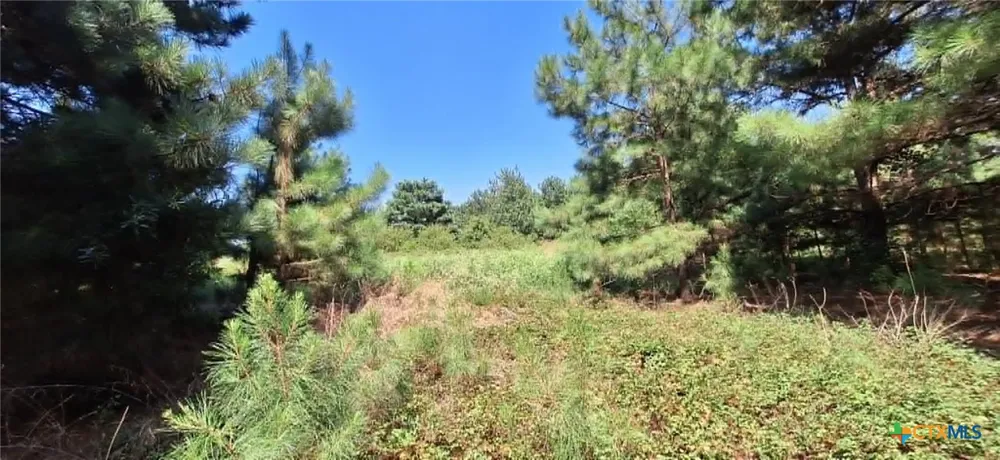 Red Maple Road Big Sandy, TX 75755