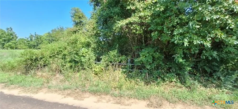 Red Maple Road Big Sandy, TX 75755