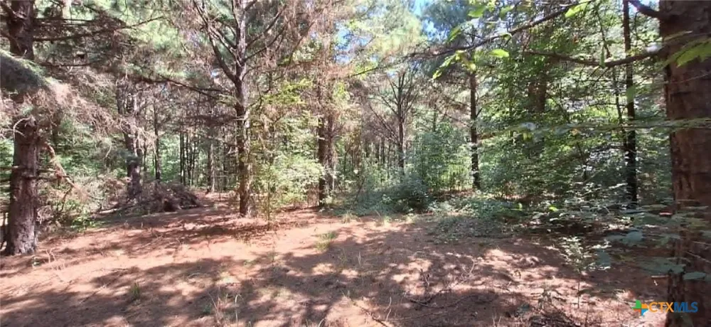Red Maple Road Big Sandy, TX 75755