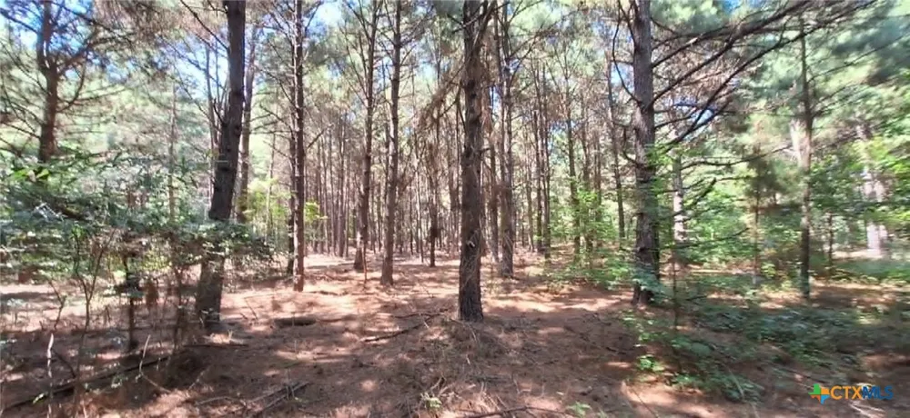 Red Maple Road Big Sandy, TX 75755