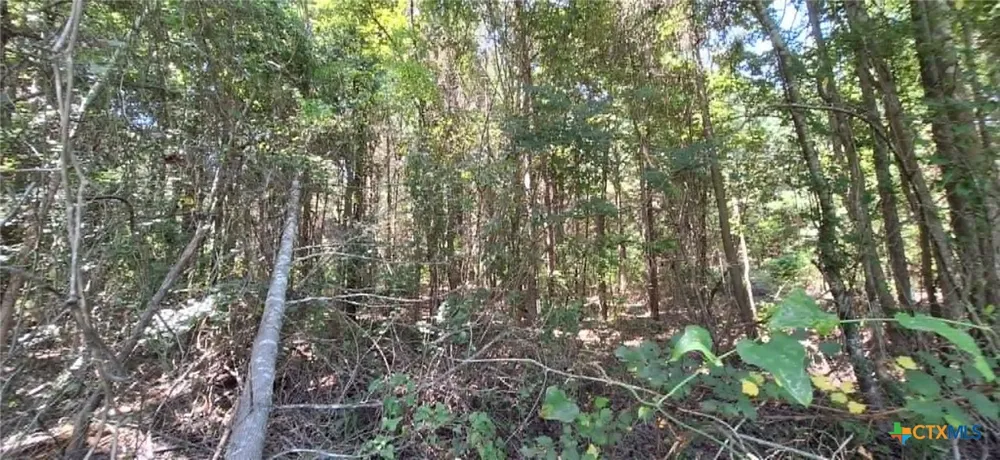 Red Maple Road Big Sandy, TX 75755