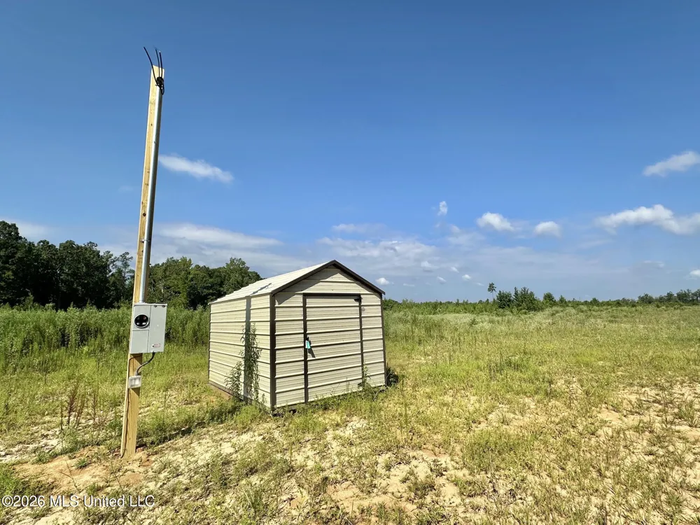 6 Will Womack Mantee, MS 39751