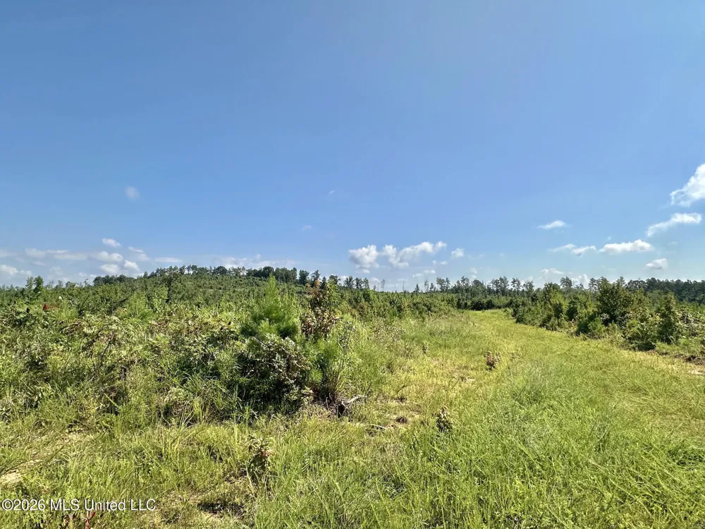 6 Will Womack Mantee, MS 39751