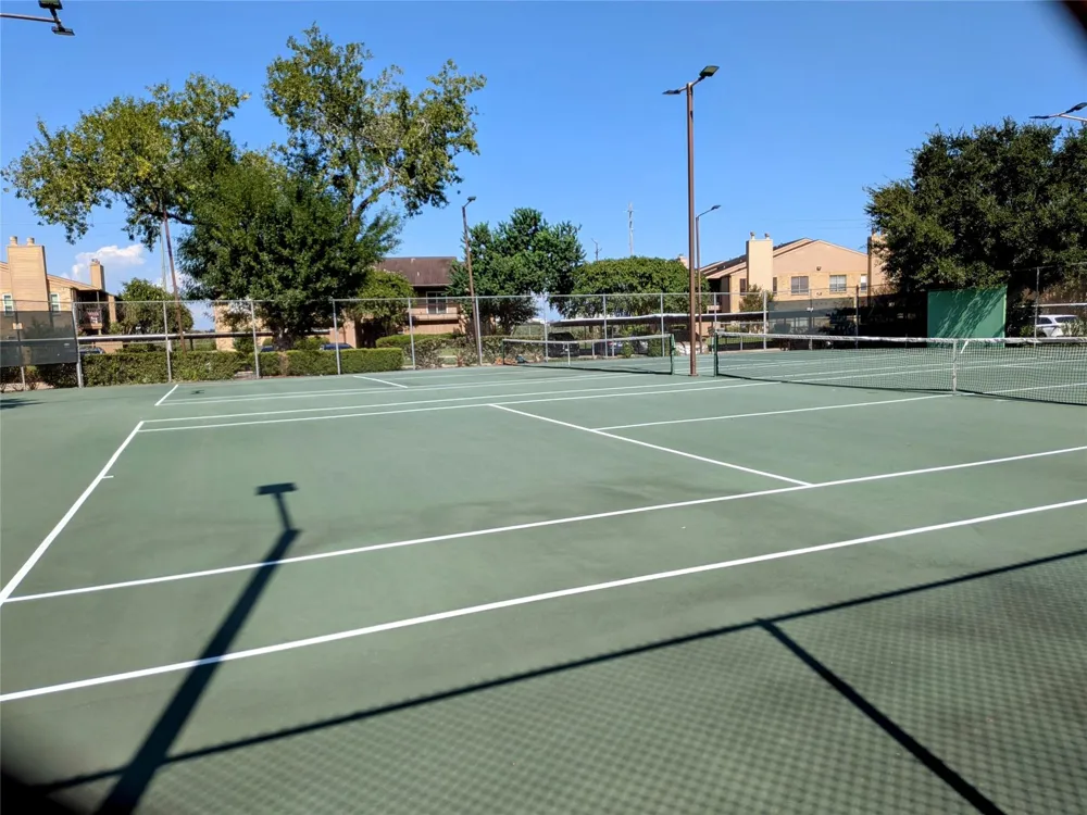 10555 Turtlewood Court #1903 Houston, TX 77072