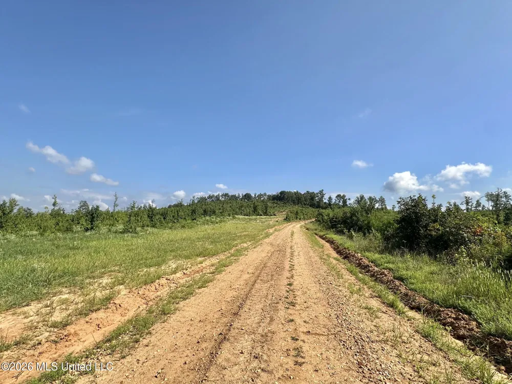 7 Will Womack Mantee, MS 39751