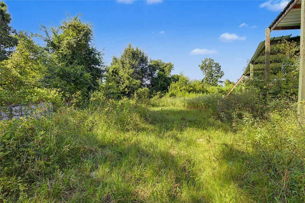 776 Yaupon Cove Drive Onalaska, TX 77360