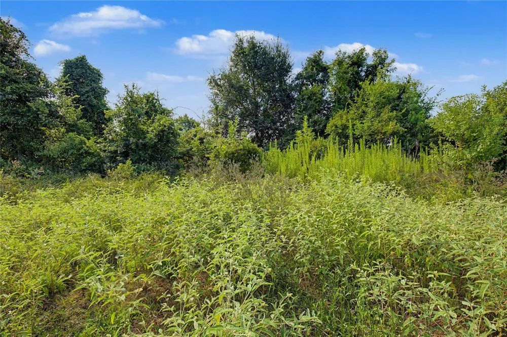 776 Yaupon Cove Drive Onalaska, TX 77360