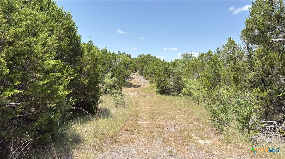 S Hwy 281 Evant, TX 76525