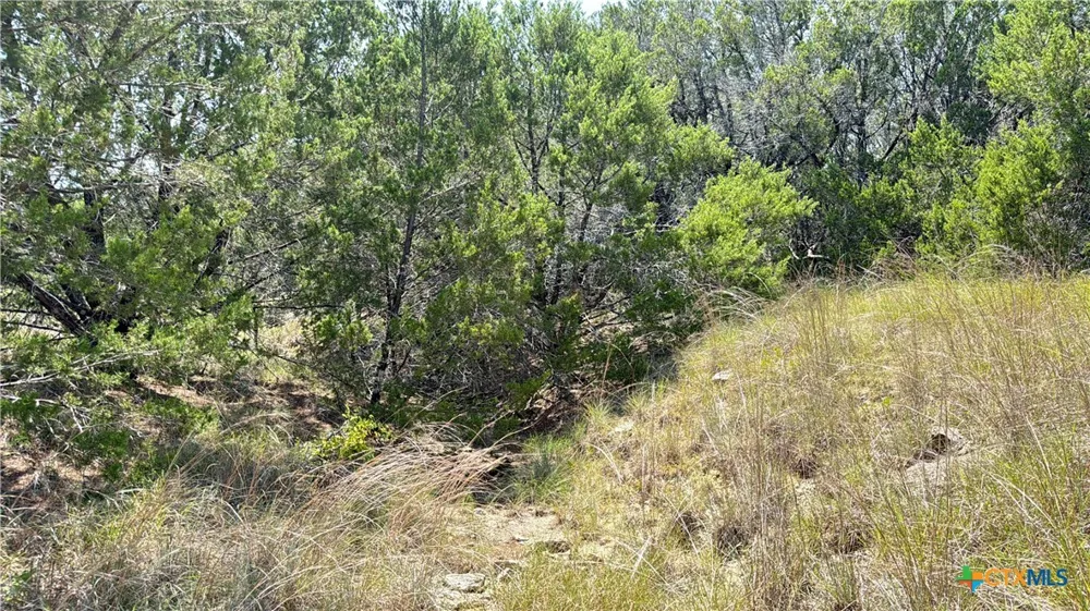 S Hwy 281 Evant, TX 76525