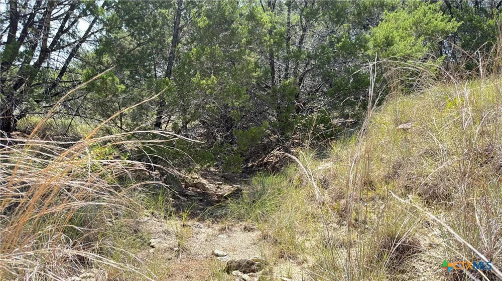 S Hwy 281 Evant, TX 76525