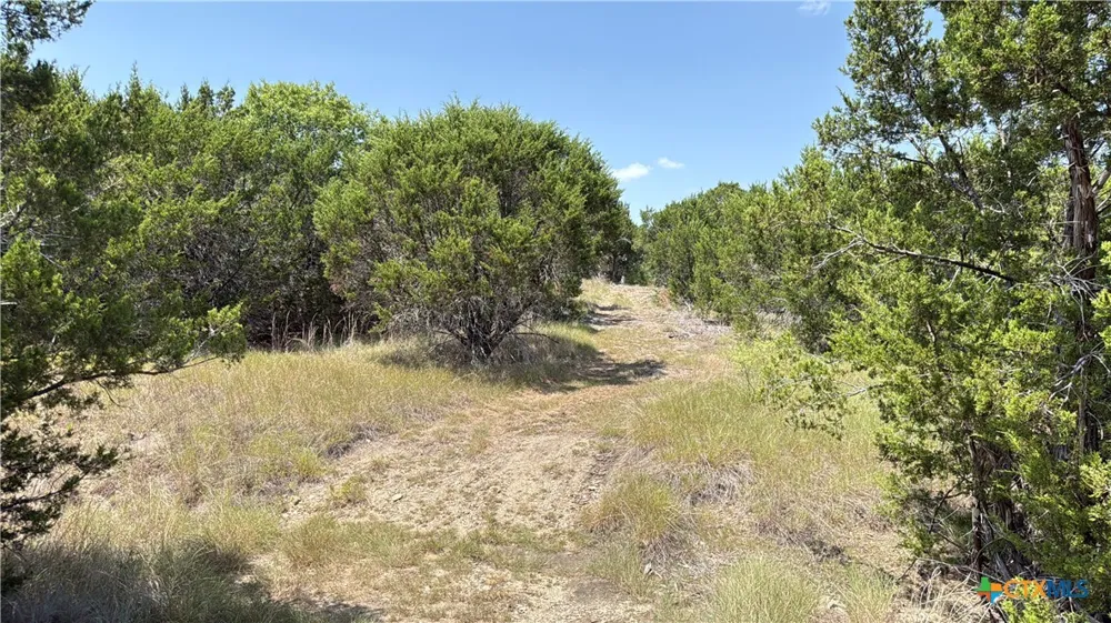S Hwy 281 Evant, TX 76525