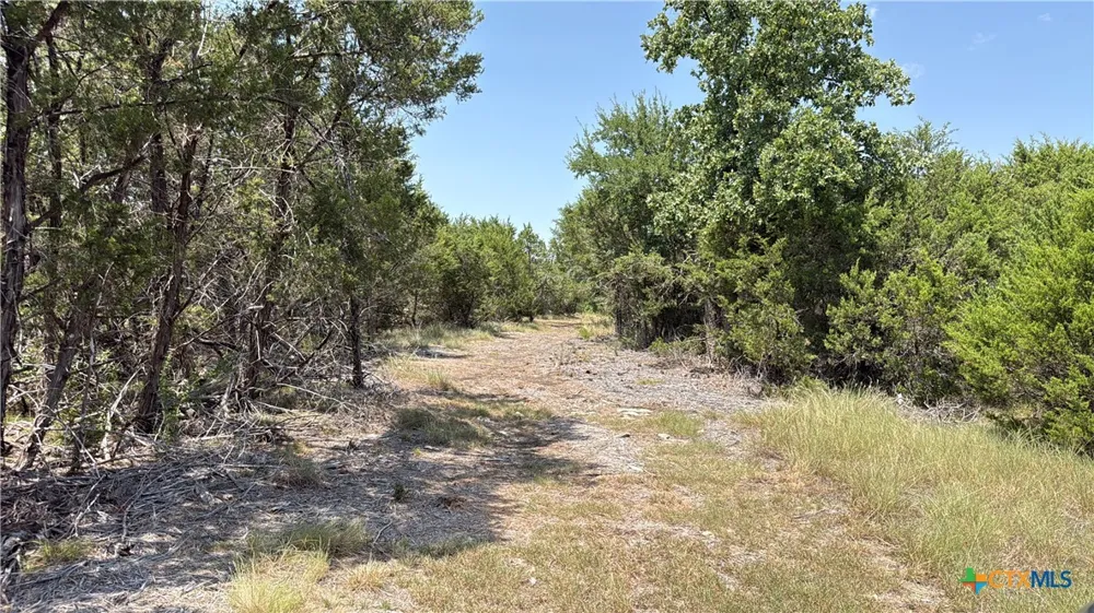 S Hwy 281 Evant, TX 76525