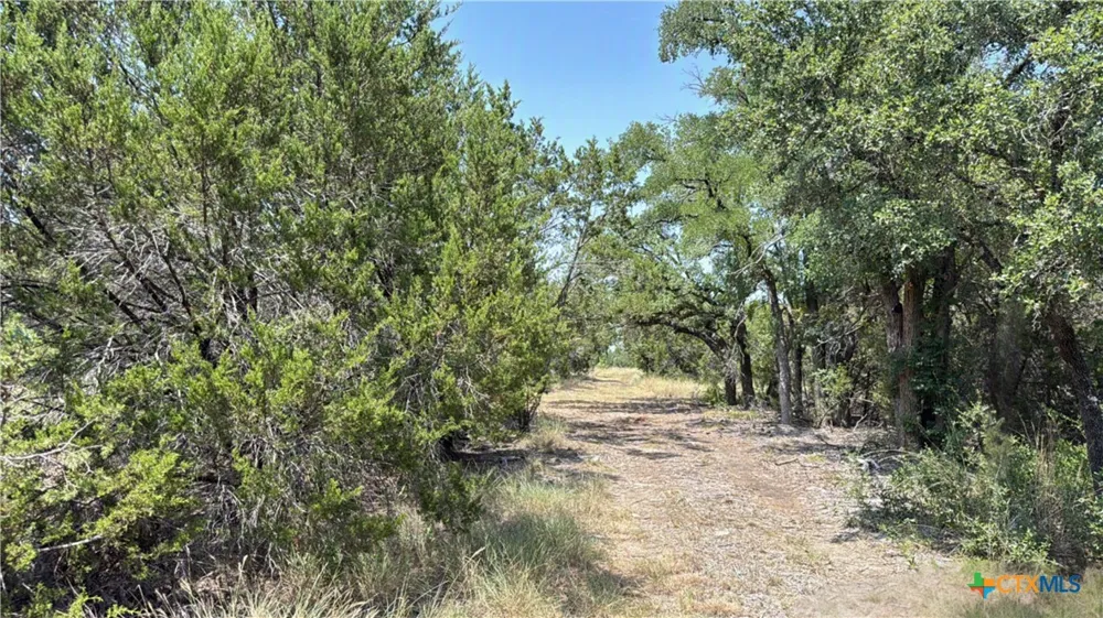 S Hwy 281 Evant, TX 76525
