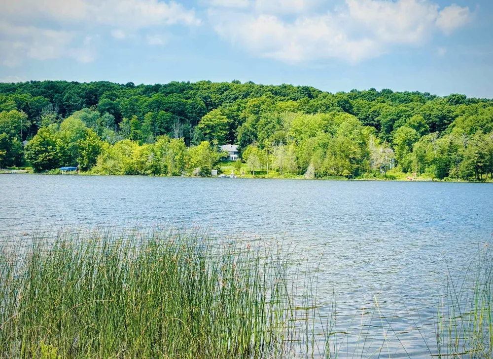 4859 Rushton Road Central Lake Township, MI 49622