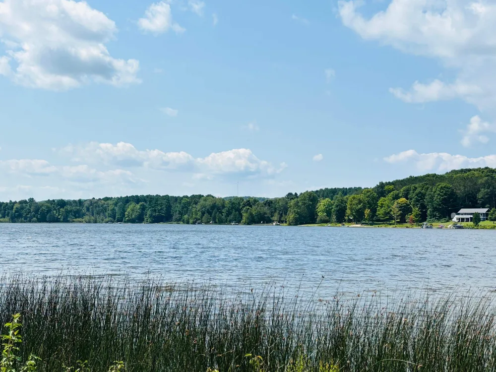 4859 Rushton Road Central Lake Township, MI 49622