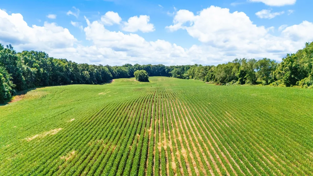 12753 Bliss Road Marcellus, MI 49067