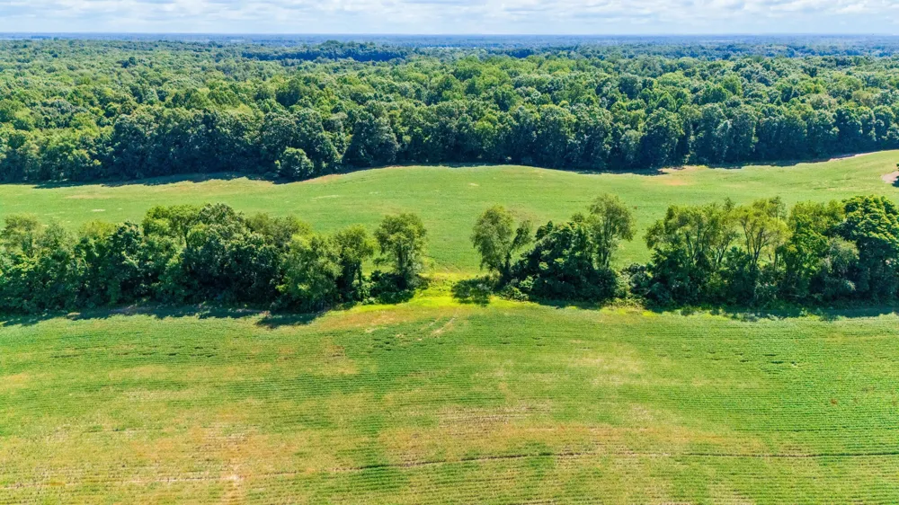 12753 Bliss Road Marcellus, MI 49067