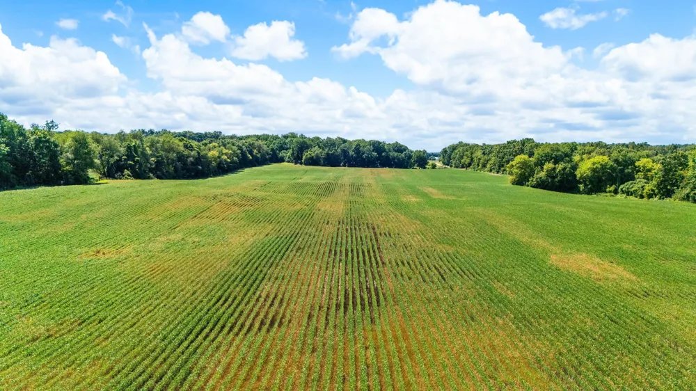 12753 Bliss Road Marcellus, MI 49067