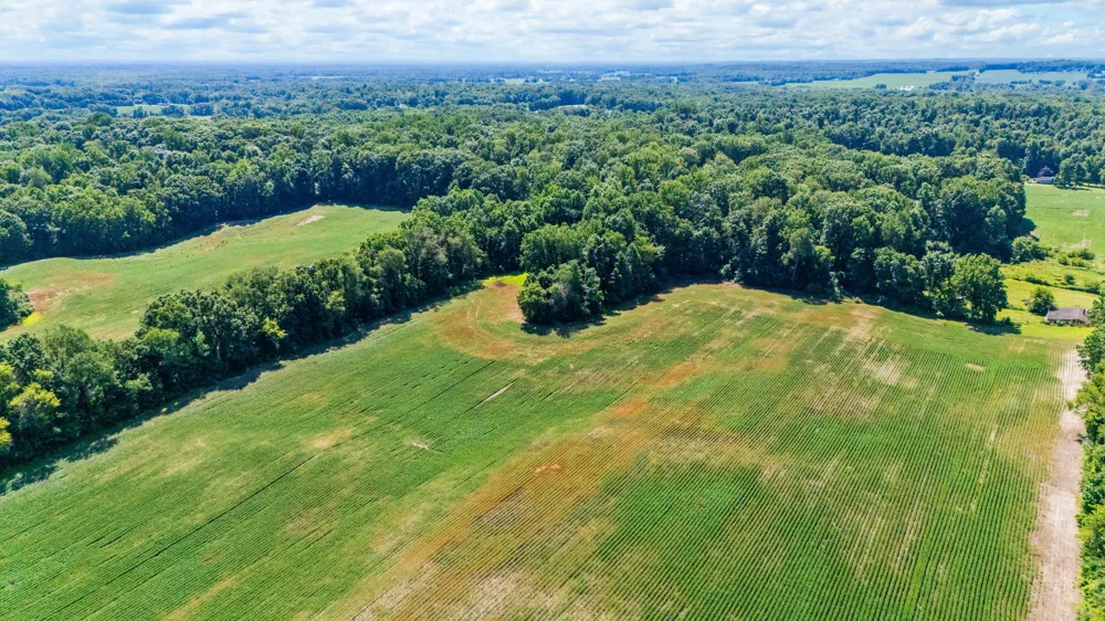 12753 Bliss Road Marcellus, MI 49067