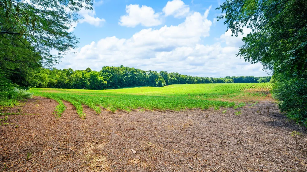 12753 Bliss Road Marcellus, MI 49067