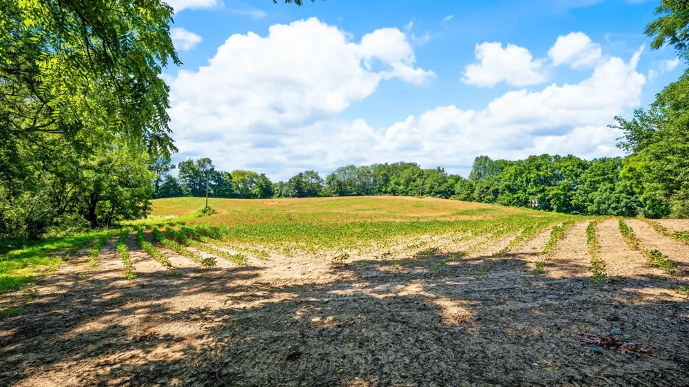 12753 Bliss Road Marcellus, MI 49067