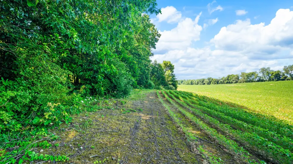 12753 Bliss Road Marcellus, MI 49067