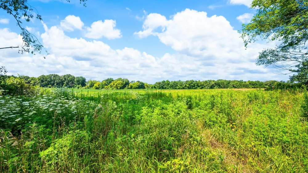12753 Bliss Road Marcellus, MI 49067