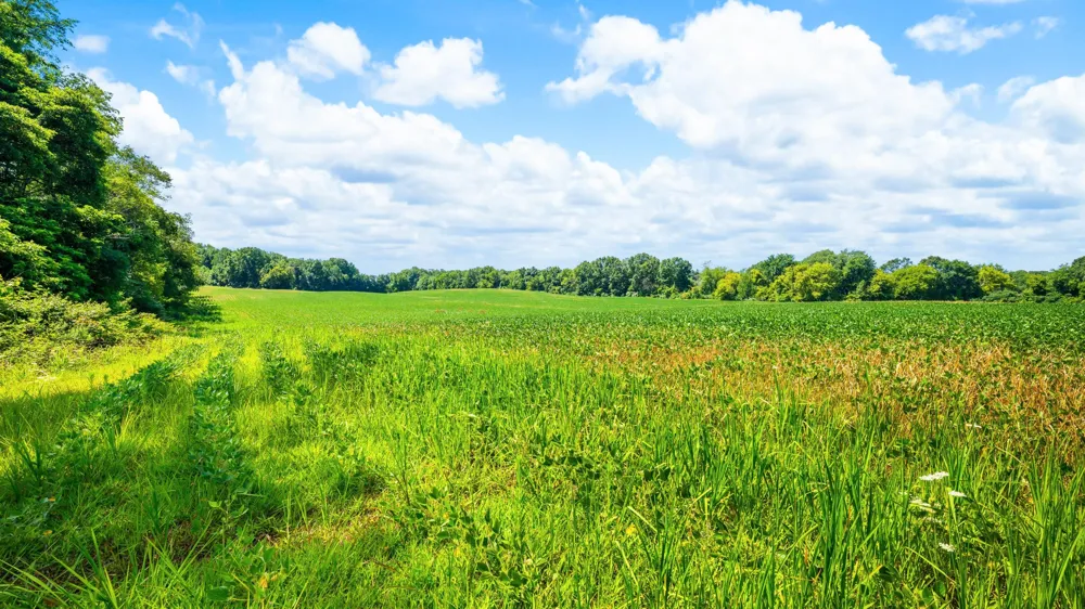 12753 Bliss Road Marcellus, MI 49067