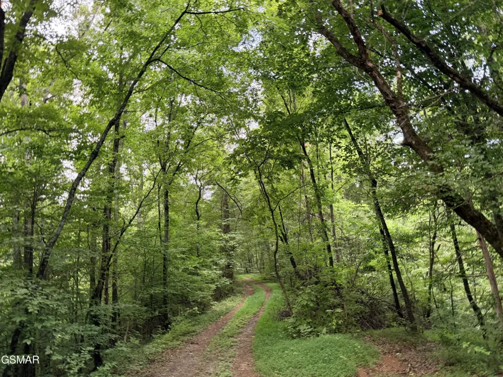 0 E Hwy 25 70 Newport, TN 37821