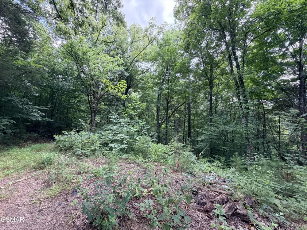 0 E Hwy 25 70 Newport, TN 37821