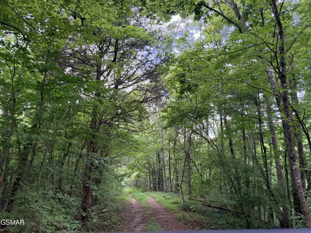 0 E Hwy 25 70 Newport, TN 37821