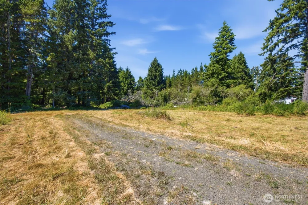 9905 Sandridge Road Long Beach, WA 98631